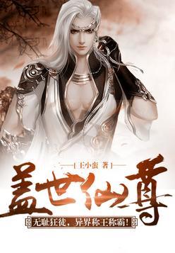 盖世仙尊百度百科丁浩