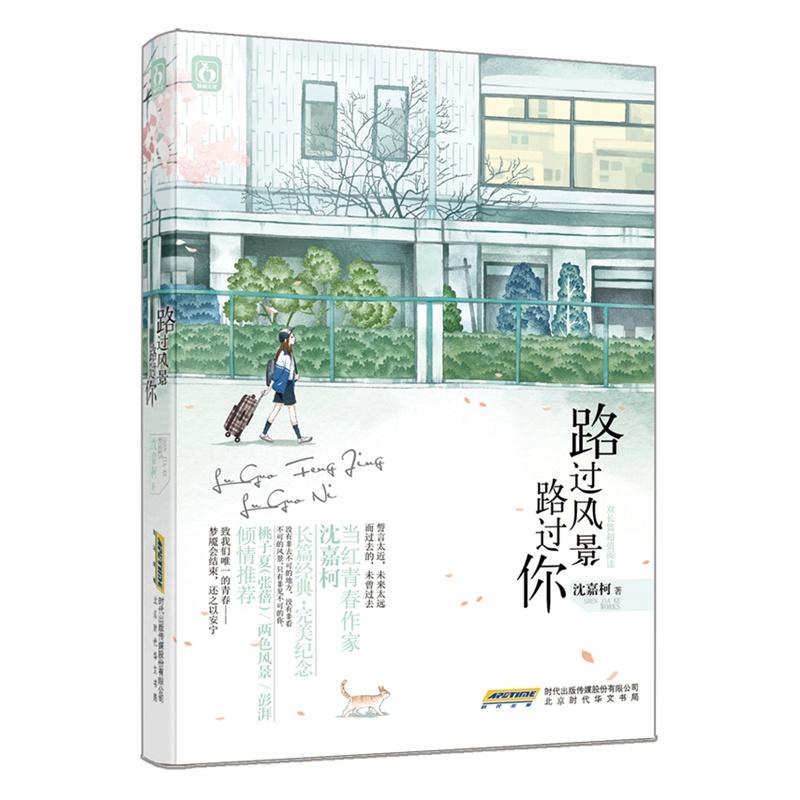 路过的风景歌词
