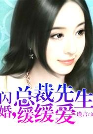 闪婚先生是总裁无弹窗