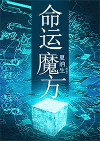 命运魔方攻受身份