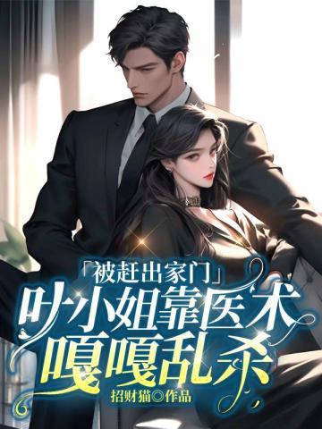电视剧叶小姐